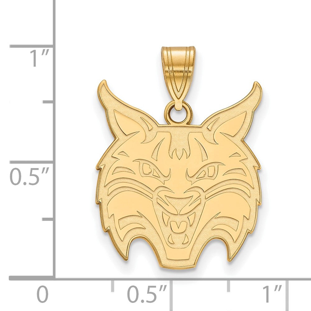 Sterling Silver Gold-plated Quinnipiac University Large Pendant