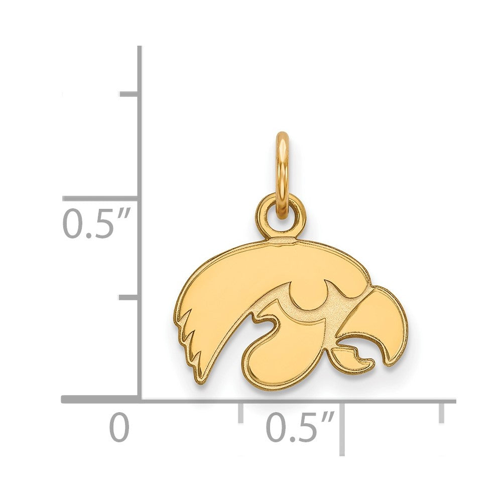 14K Gold University of Iowa XS Pendant