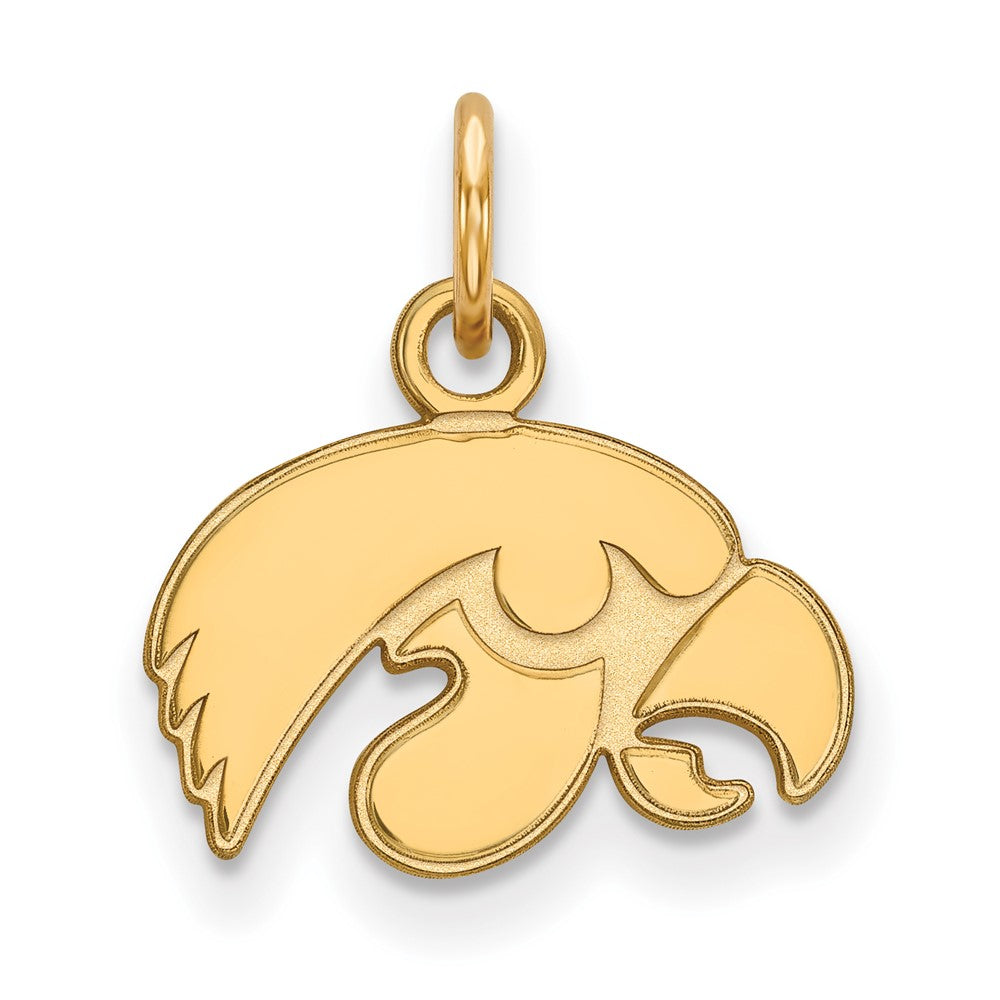 14K Gold University of Iowa XS Pendant