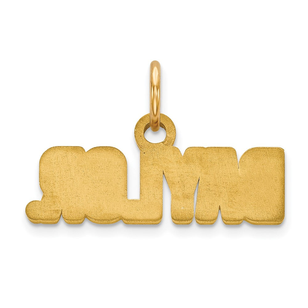 10K Gold Baylor University XS Pendant